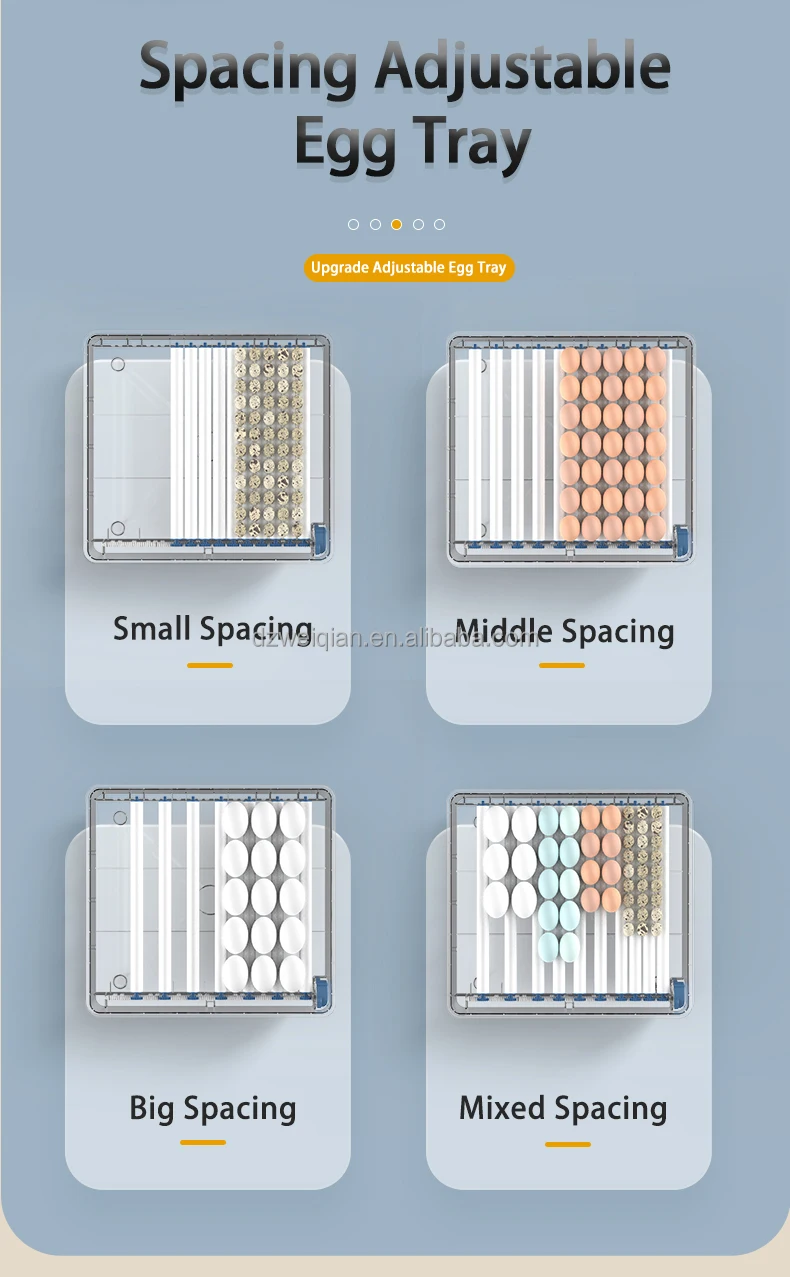 egg incubator (11).jpg