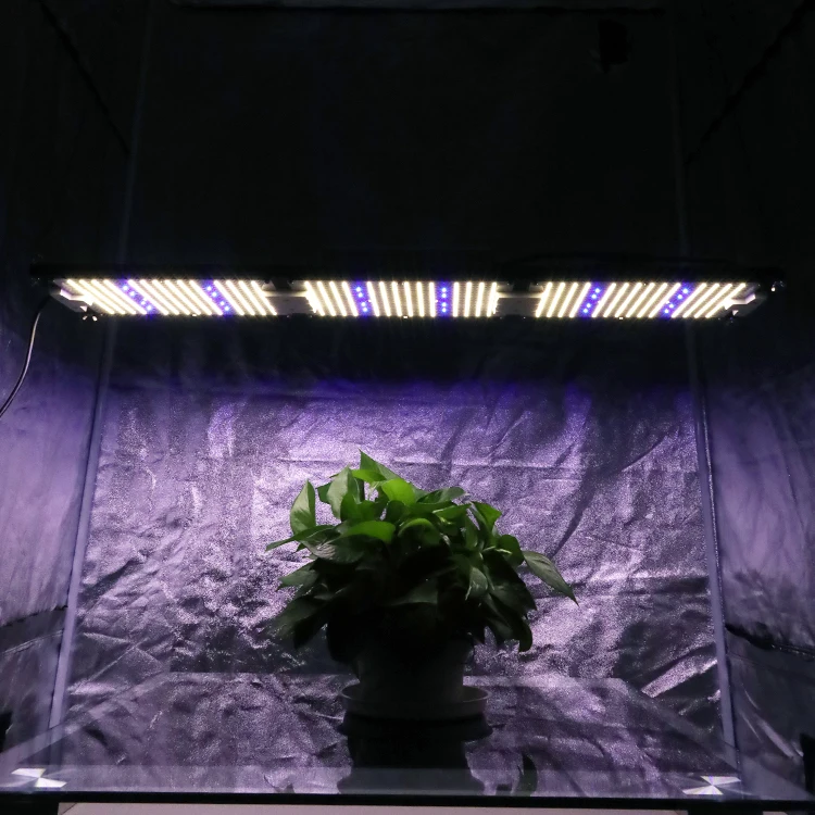 Предварительно собранная светодиодная промышленная лампа King Brite 320 Вт LM301H 4000K + xpe2 Royal 460 нм Синяя kingbrite
