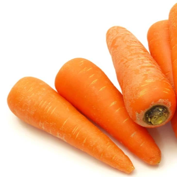
xiamen no.316 variety fresh carrot 10kg carton 