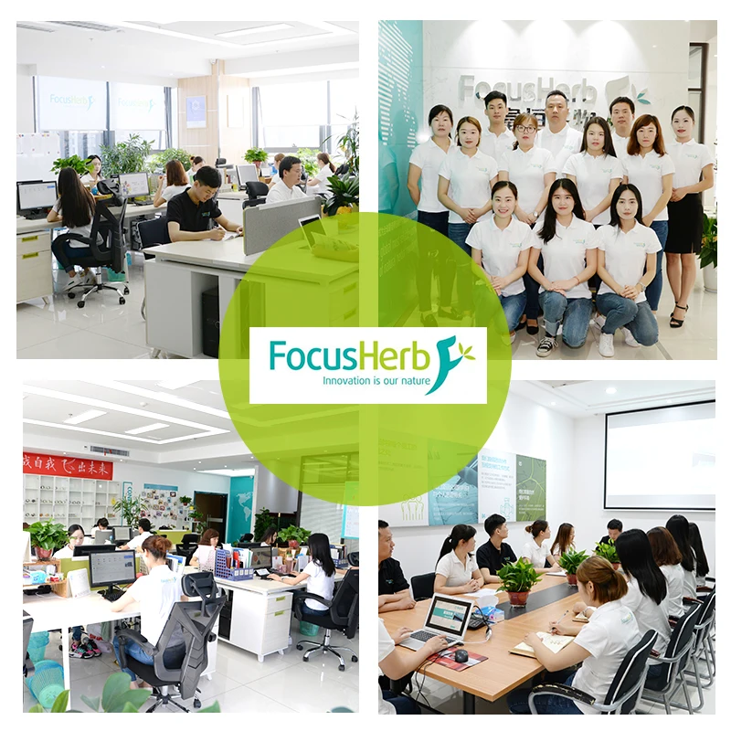 
FocusHerb Astragalus Root Extract Powder Astragaloside IV 