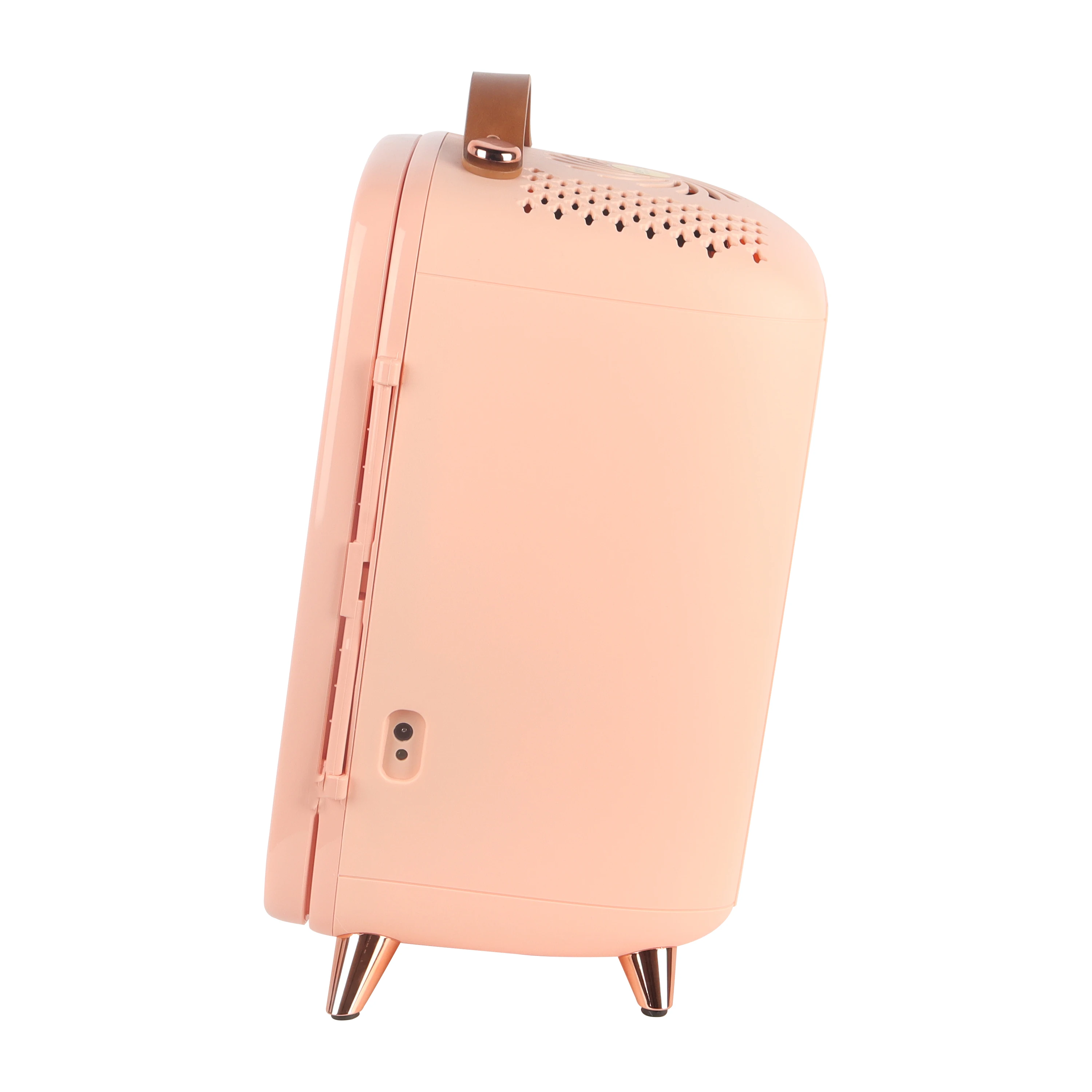 AC 220 V with EU and UK adapter Mini Fridge 6L LED light Automobile semi-conductor Cosmetic Fridge Compact Personal Fridge