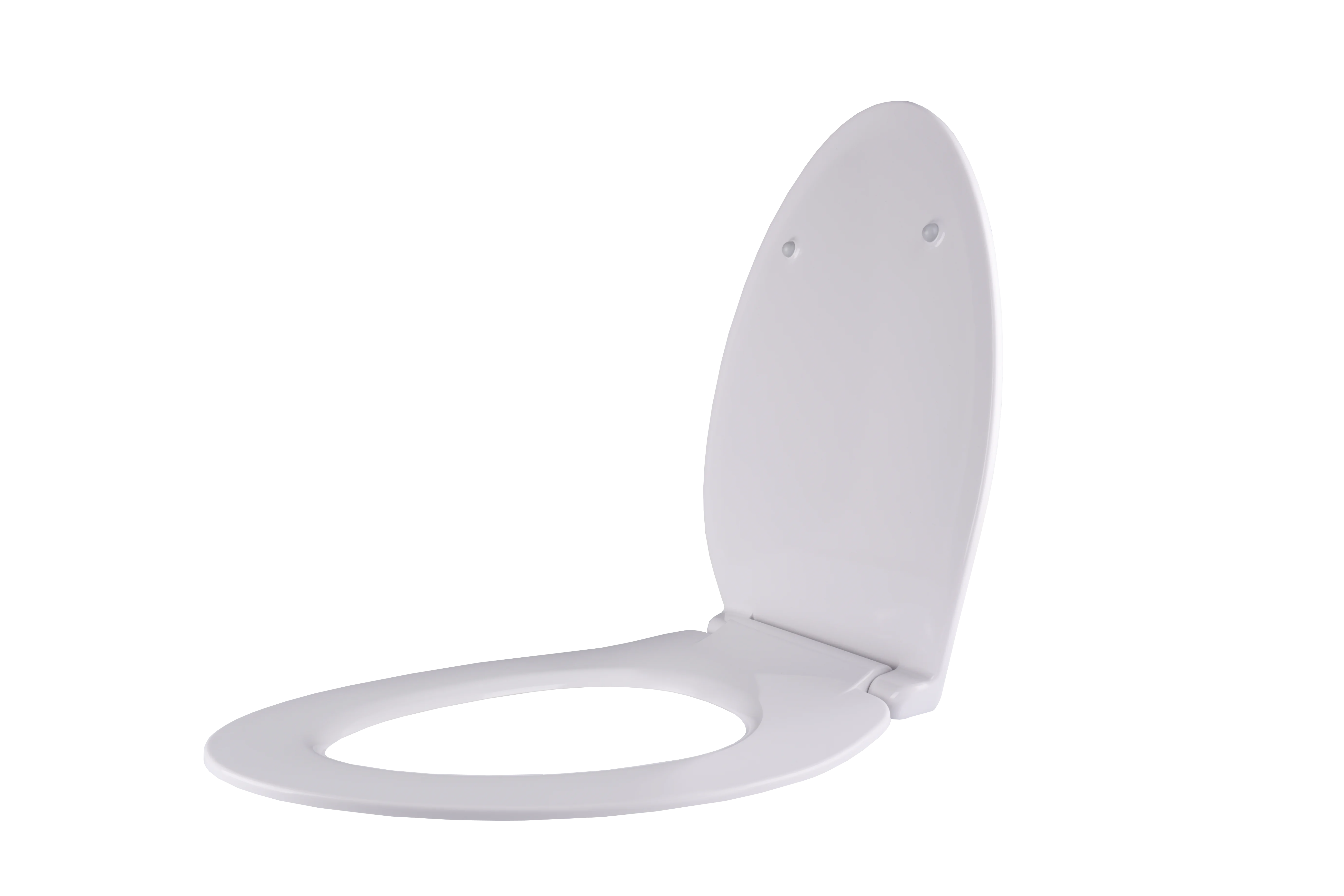 toilet seat