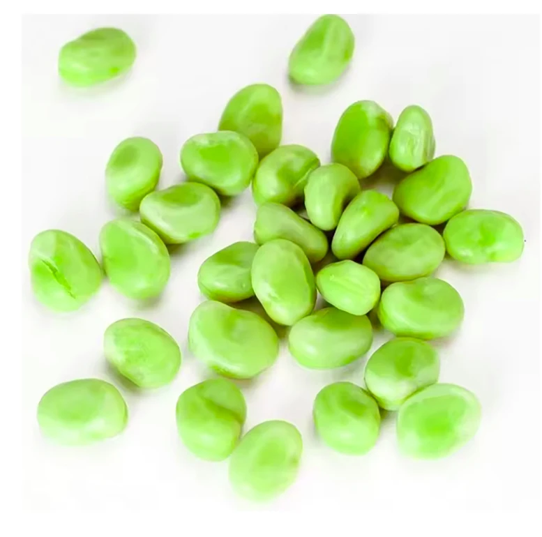 Wholesale bulk quantity supply fresh style photos frozen broad beans fava beans price