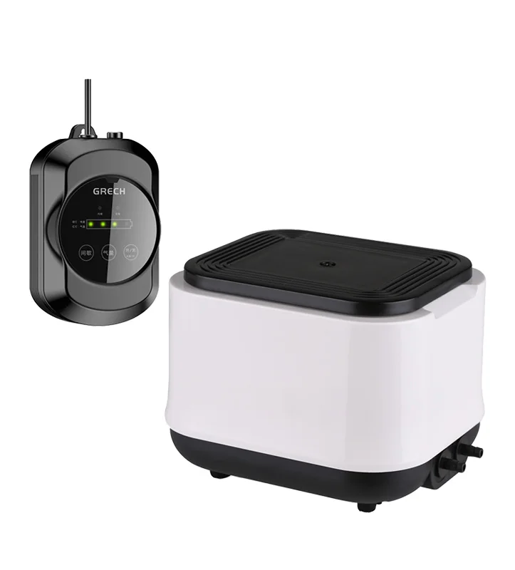 Sunsun Wholesale Electric Low Noise Aquarium Dual-use AC/DC Air Pump for Fish Tank Accessories for Oxygen Generator