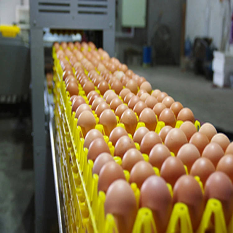 Лучшая заводская цена 100% натуральный высококачественный сухой порошок яичного желтка