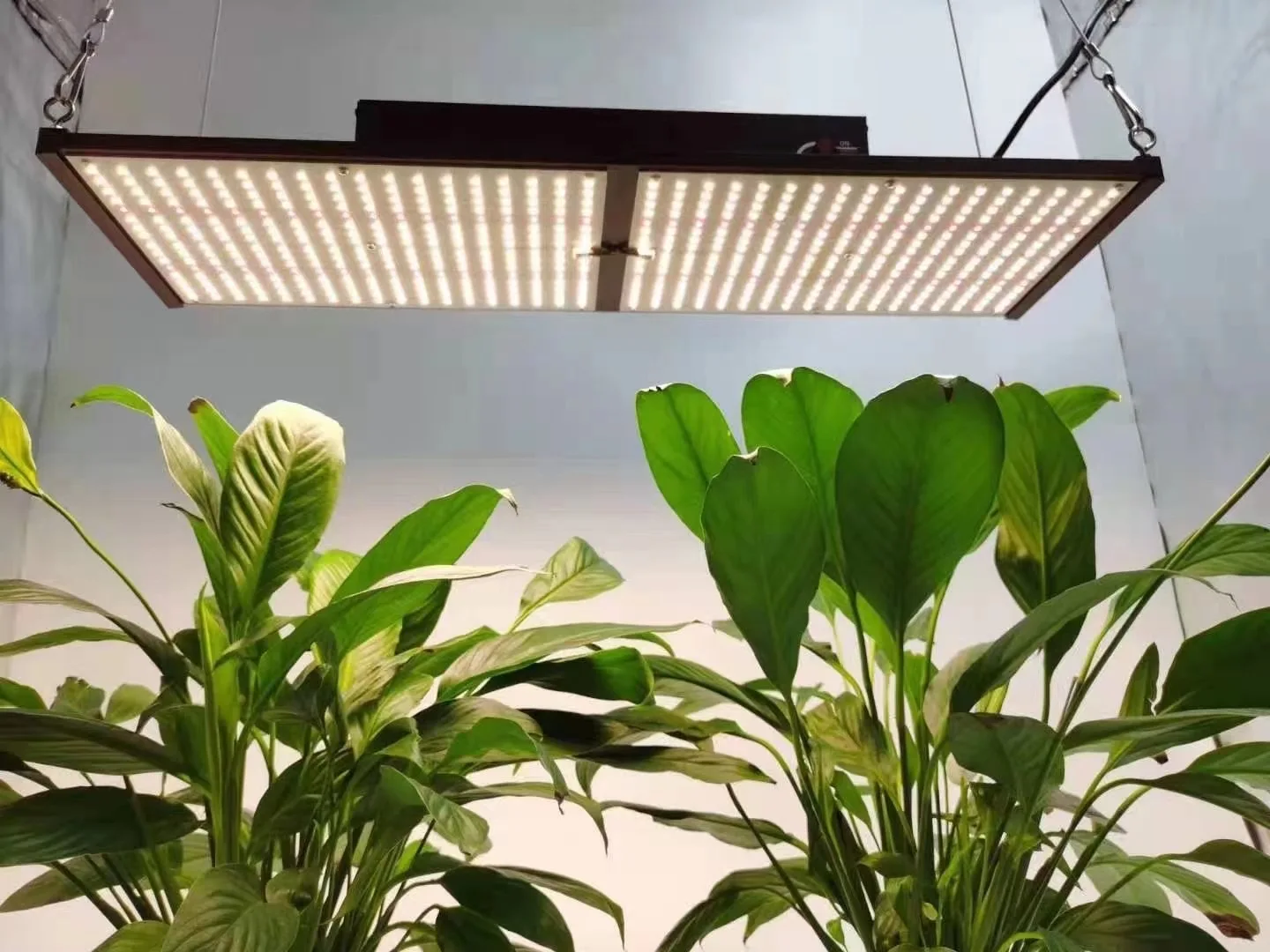 
dropship led grow lights Samsung lm301b 220w hydroponic led grow board 