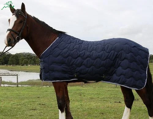 Equestrian   horse rug  Stable Sheet