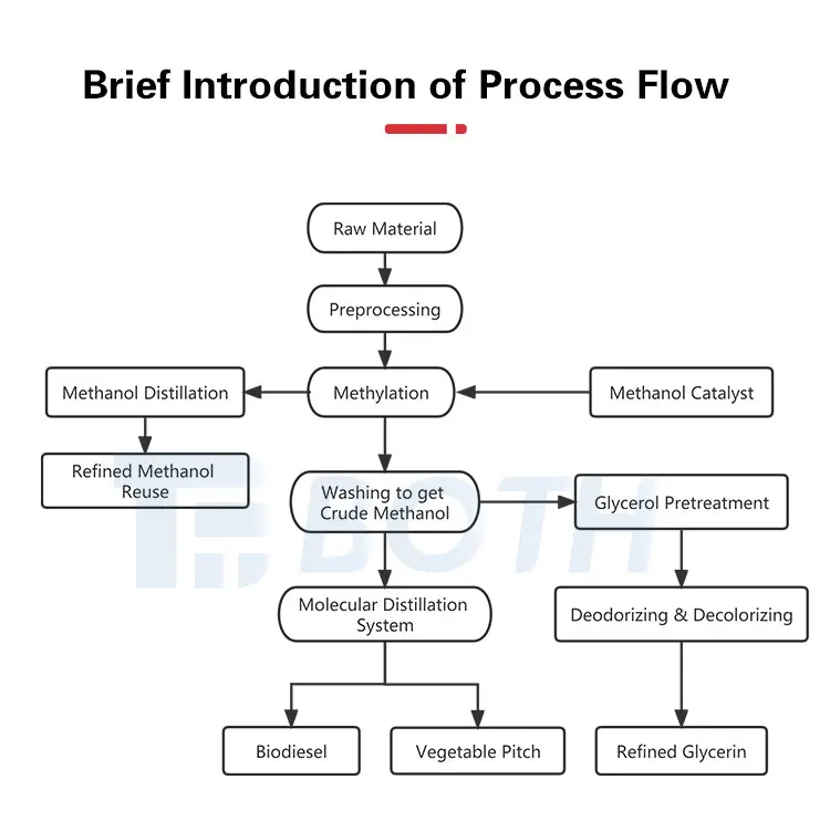 Turnkey Solution of Biodiesel