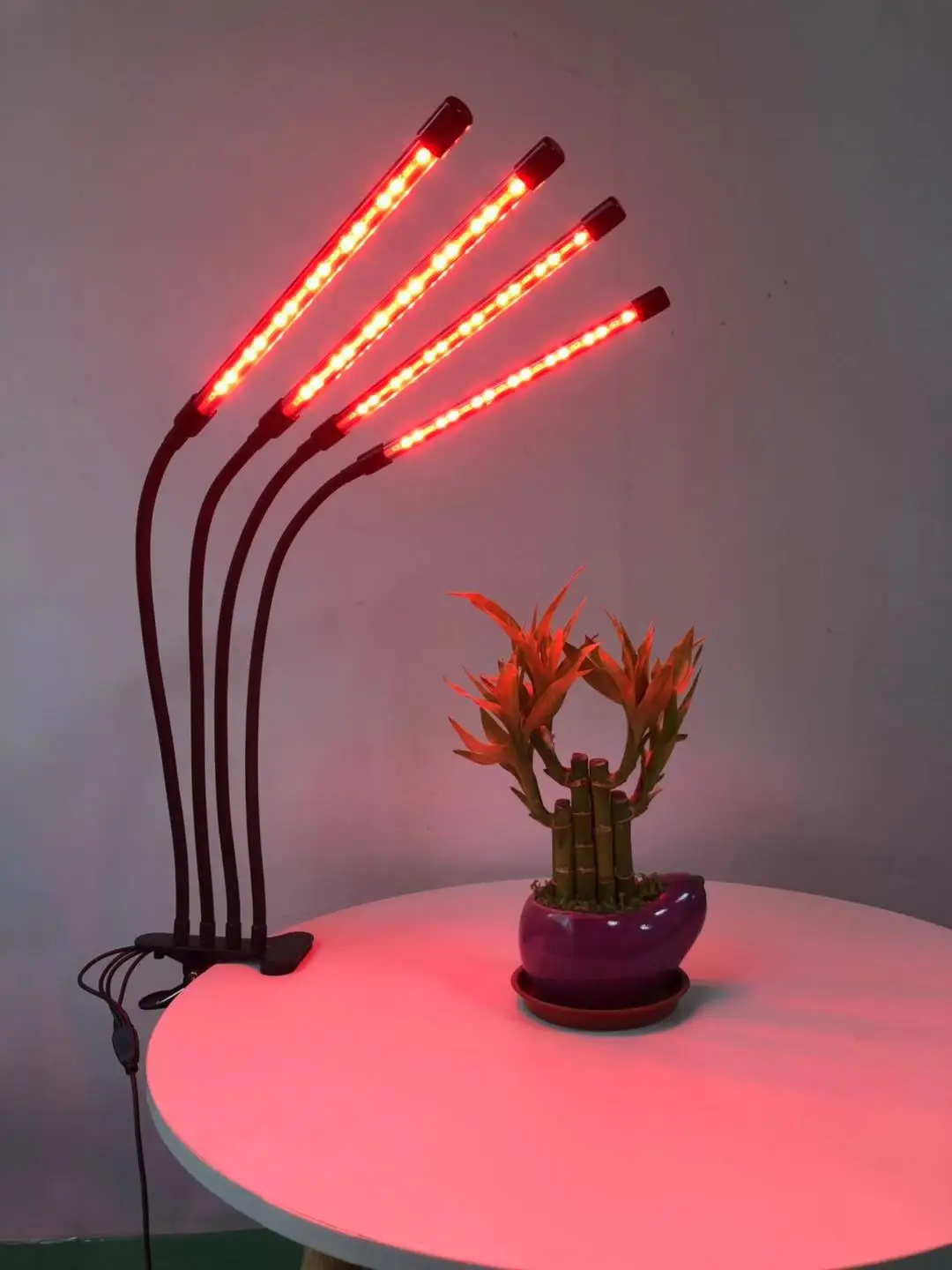 Spot plant lamp full spectrum clip type succulent color cycle timing LED dimming red and blue light succulent fill light