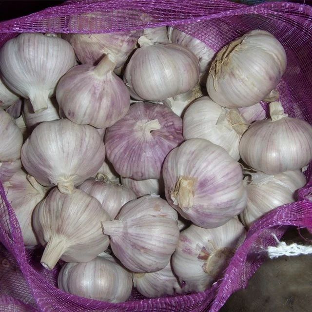 New Crop Fresh Garlic In Good Quality Fresh Normal White Garlic In Low Price From China
