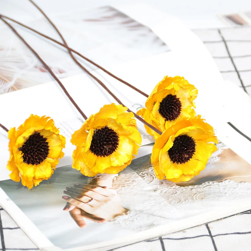 2022 Yunnan Wholesale The Most Popular Dried poppy flower Dried Fruit Dipsacus Sativus for Christmas