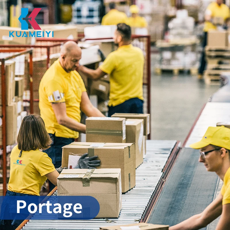 China to US UK CA DHL Express DAP door-to-door service, new energy battery transportation, express shipping free of warehousing