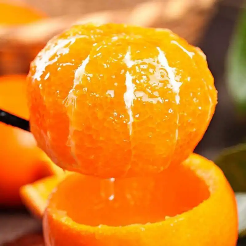 Fresh Citrus Factory Mandarin Price Wogan Mandarin Navel Orange