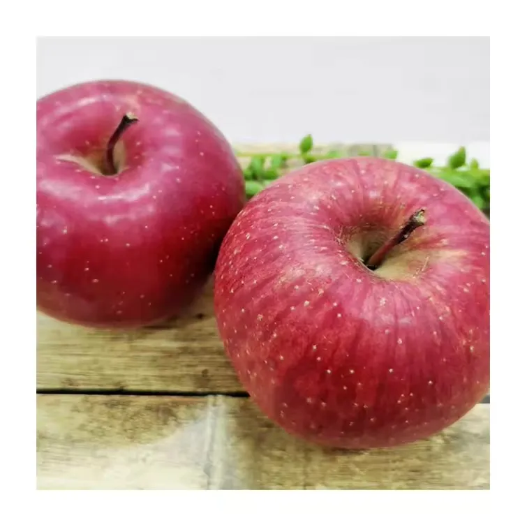 Red Delicious Fuji Apples,Shandong Yantai Penglai Fuji apple,Gala Apple