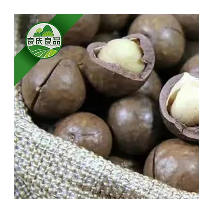 Hot Selling Product Macadamia Macadamia Nut 100% Natural Organic Macadamia Nuts Raw Price With Shell