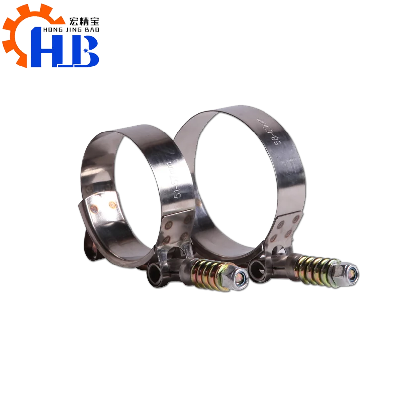 
Factory direct supply accept customization T head bolt strong hose clamp 