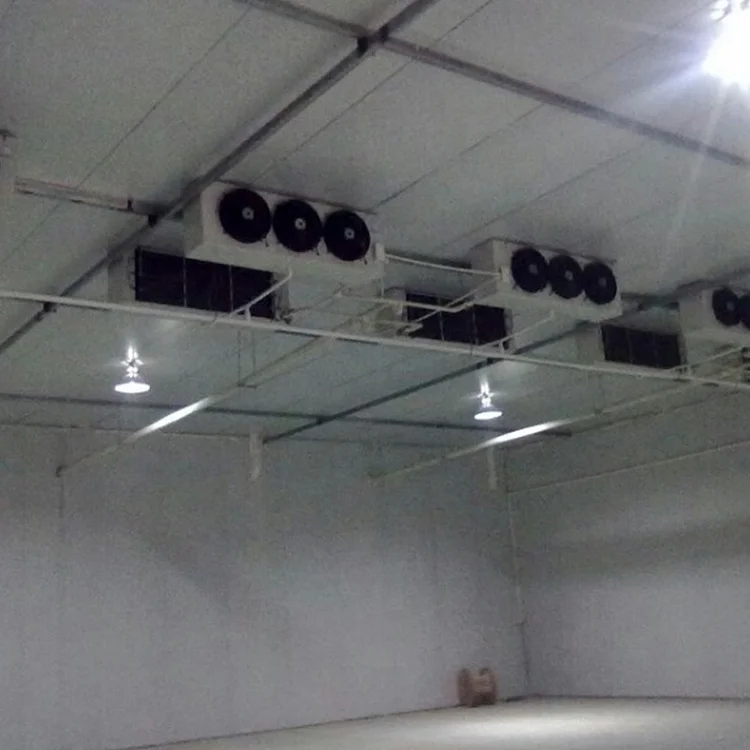 High quality edible fungus cultivation system   mushroom climate control