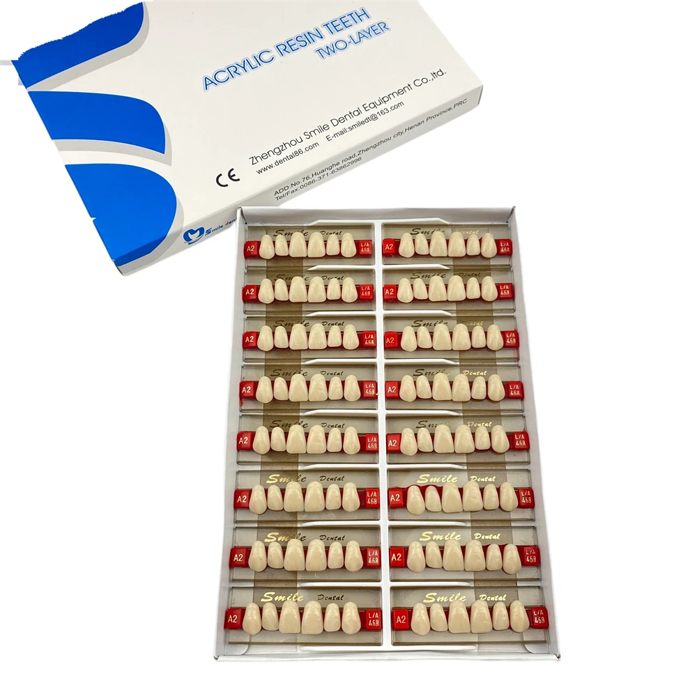 2-lay Synthetic Denture Teeth False Teeth Anterior Dental Acrylic Resin Teeth