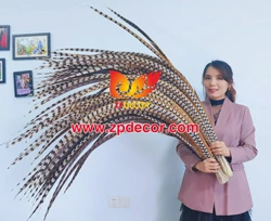 Оптовая продажа с завода ZPDECOR, супер длинные натуральные перья хвоста фазана для карнавала Майами бахамс янканоо