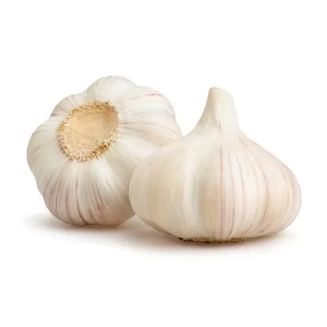 Export Chinese High Quality Garlic Normal White Garlic Fresh Pure White Garlic