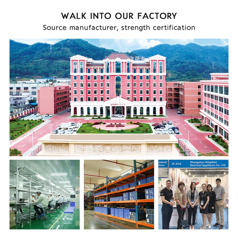 KSKIN Home use nano ionic warm mist face humidifier steamer for facial moisturizing cleansing facial sauna steamer