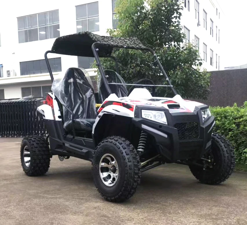 300cc UTV Go Kart /Automatic Buggy Farm Vehicle