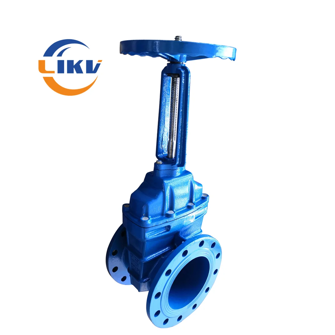 Din3203 Ductile Cast Iron Ggg50 Rising Stem Resilient Seated Flanged Gate Valve Manufacturer