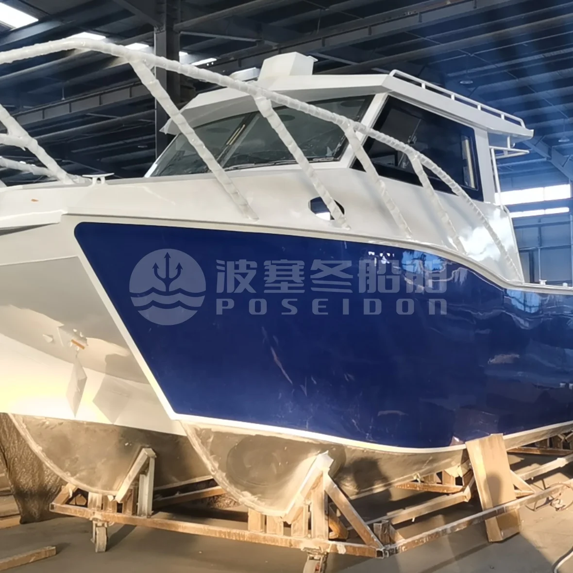 29ft Watersport Catamaran Leisure Multifunctional Racing Boat for Offshore Waters