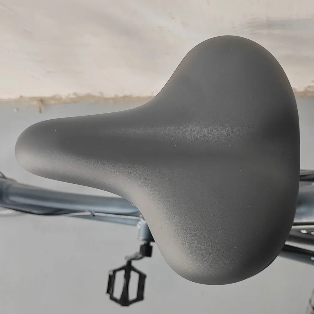 Factory directly selling city Electric Bicycle (FP-EB24002)