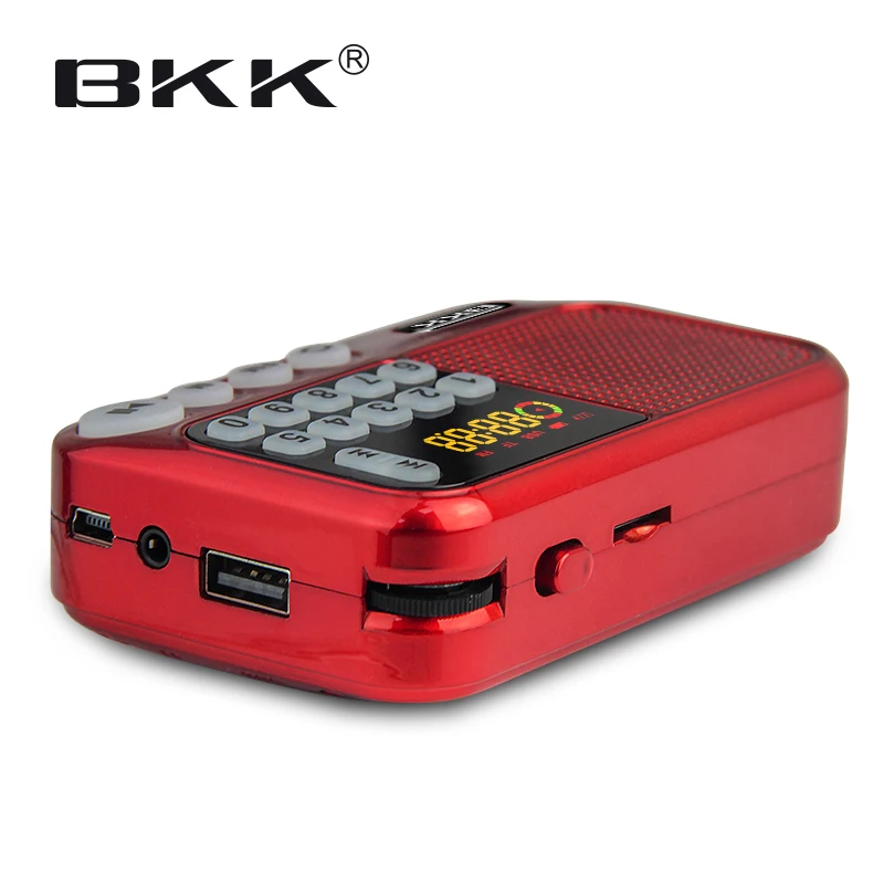 Bluetooth FM Radio Speaker with  TF card Music box (S99)