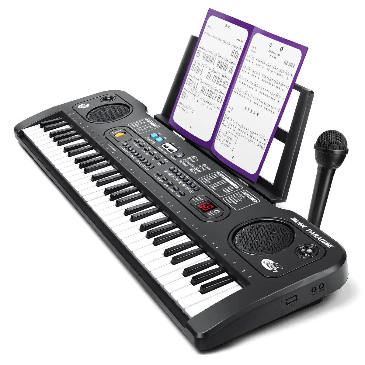 61 Keys Electronic Keyboard Piano with Keyboard Stand Digital Portable Synthesizer Keyboards for Kid Beginner Teaching