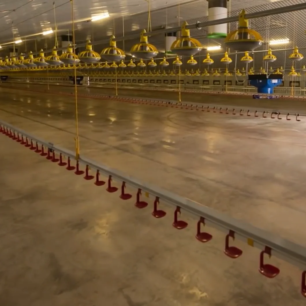 China factory high quality prefabricated poultry house building warehouse chicken house light steel structure