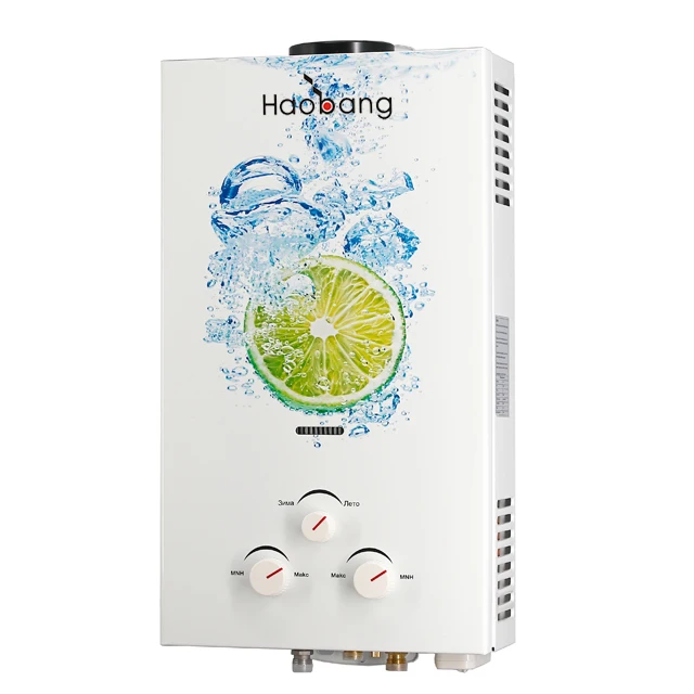 Home Appliance Junkers Wall Mounted Tankless Instant Gas Hot Water Unit Heater