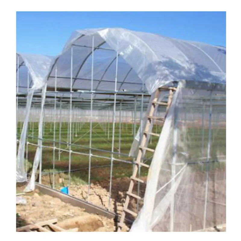 
Multi-span Plastic Film Greenhouse Tomato Greenhouse and Strawberry Greenhouse 