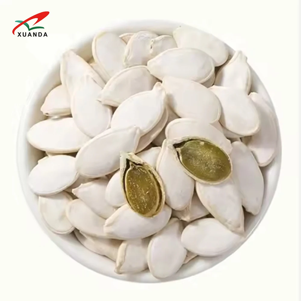 2024 Professional Supplier Shine Skin Snow White Seeds Pumpkin 11MMM Big Size Pumpkin Seeds In Shell Fresh Squash Seeds