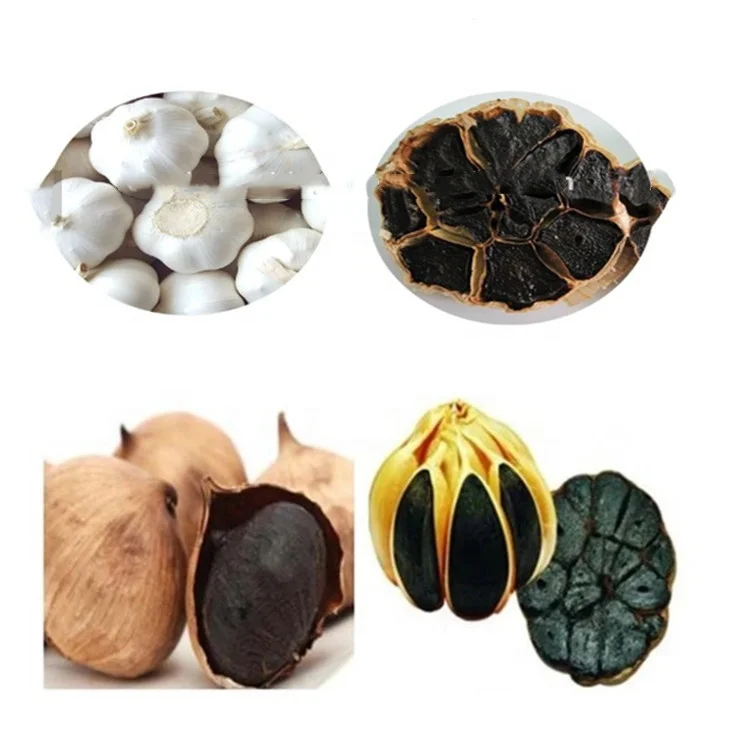 JUYOU 304 stainless steel 40kg  90kg 180kg  Black Garlic Fermenter fermentation processing machine