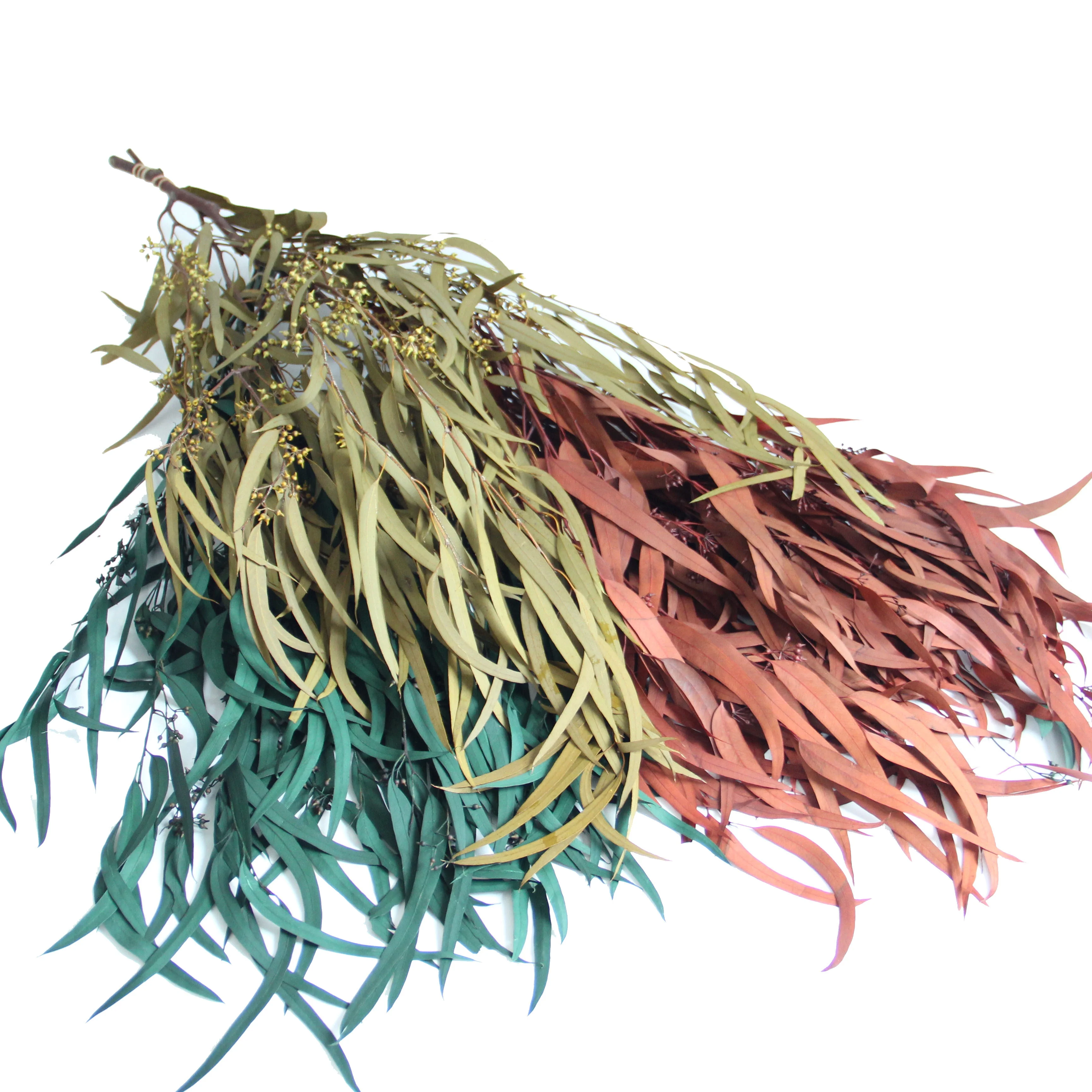 Small Preserved Long Stem Dried Flowers Eucalyptus Leaves Fruit Millet Fruit Fine Leaf For Home Party Festival Decoration