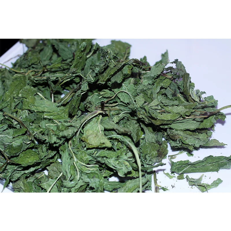 Wholesale Chinese Dried Mint Leaves Papperminth leaf herbal Leaf