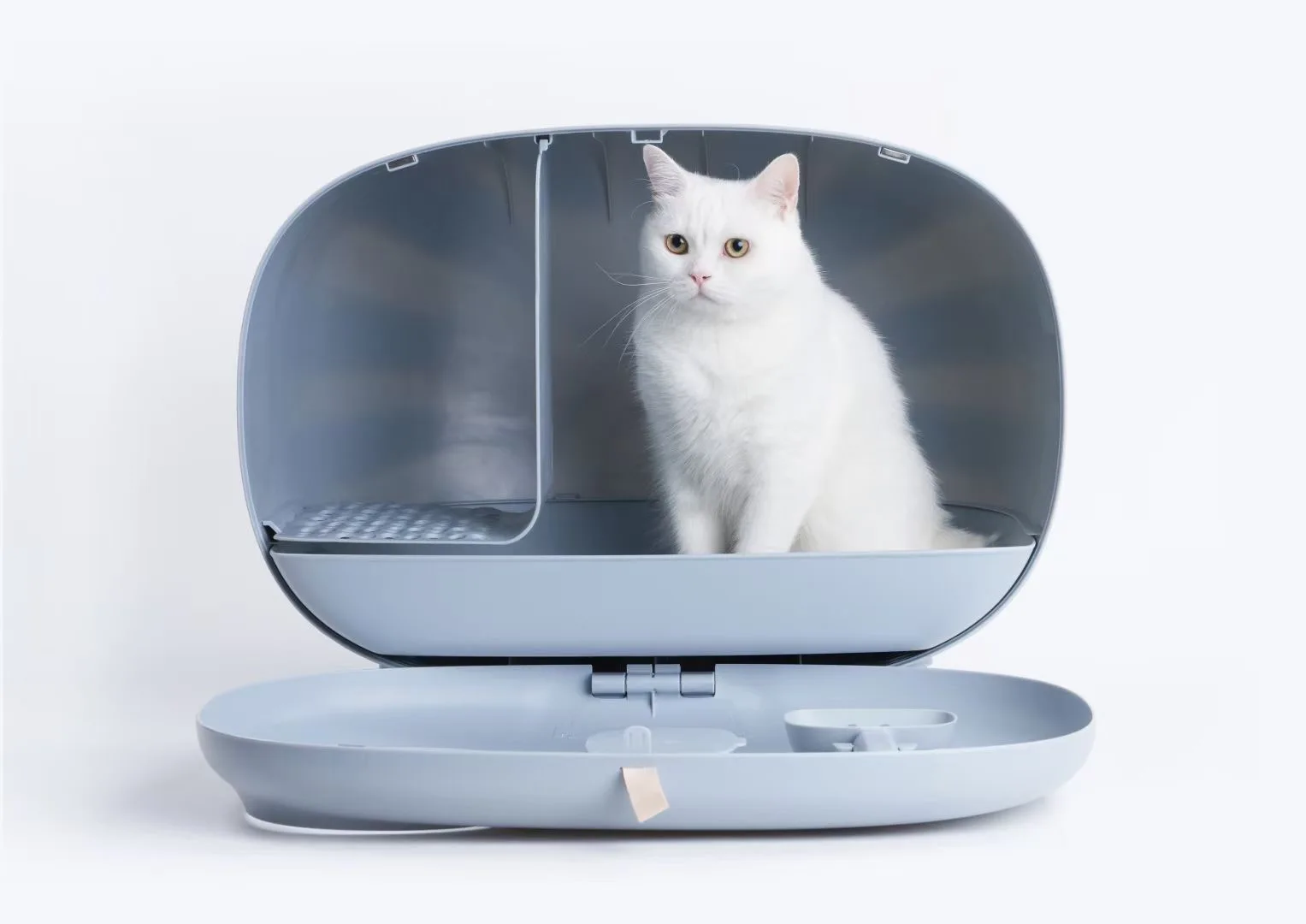 Comfortable Cat Litter Box Low Price Easy to Clean High Appearance Cat Toys