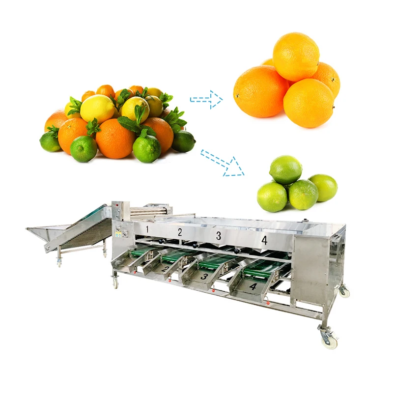 Macadamia Nuts Orange Grading Machine Price