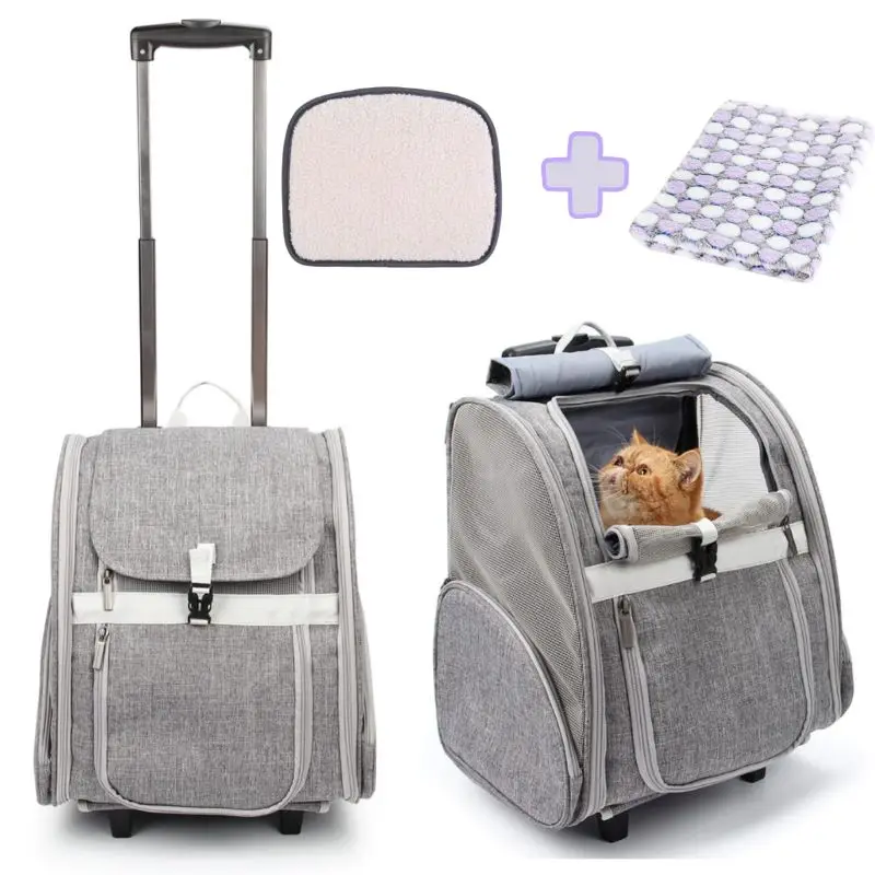 Hot sales  pet carrier stroller Innovative Traveler Bubble Backpack for cat dog with detachable wheels