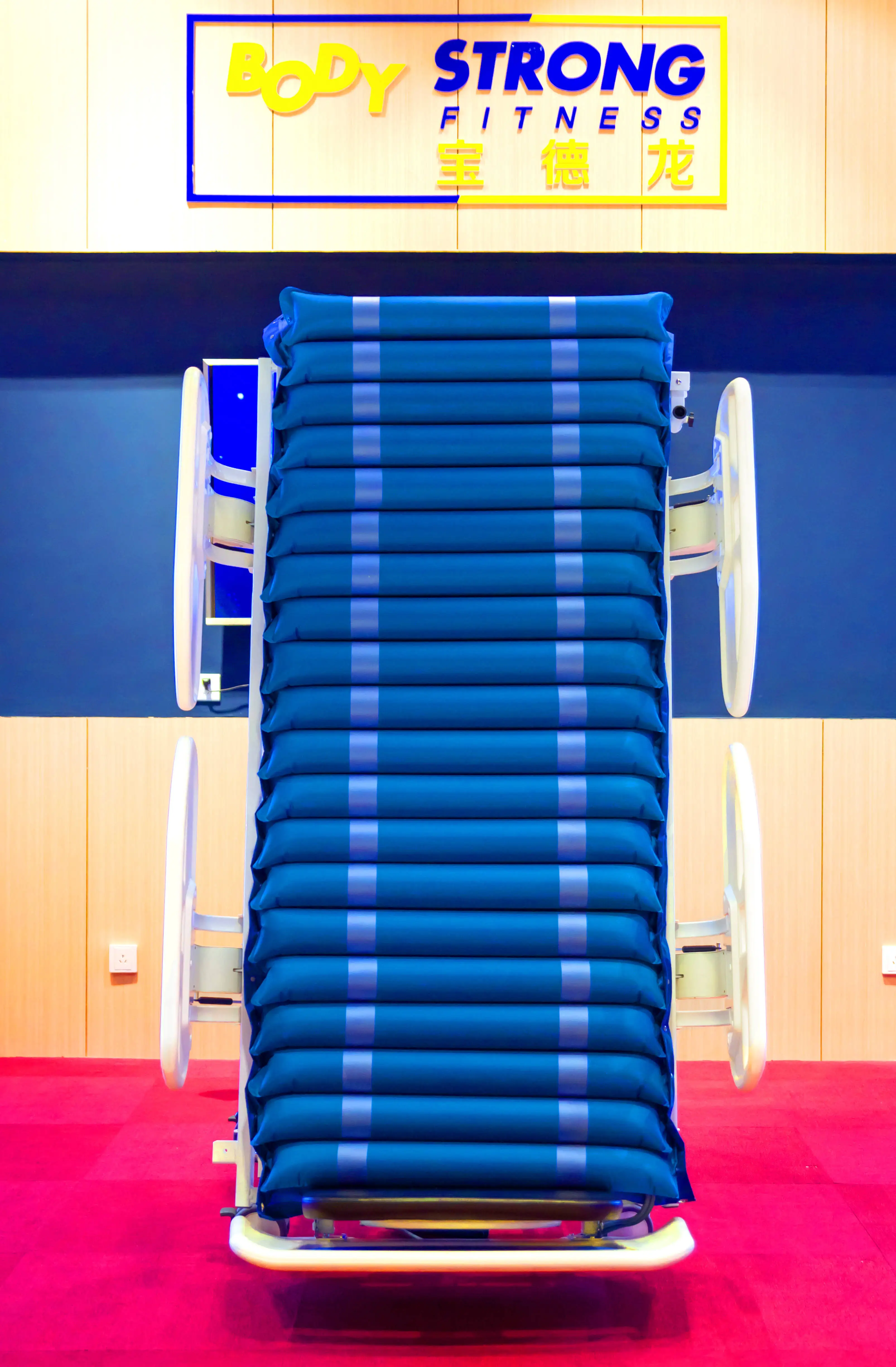 Hospital Bed for Patient ABS Board Embedded Panel 5 Function Electric Hospital Bed