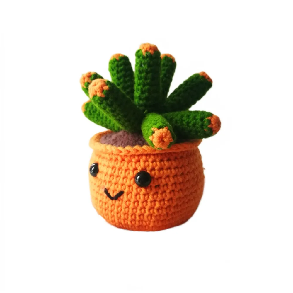 Crochet Kit for Beginners Crochet Amigurumi Succulent Plant  DIY Craft Kit Kawaii Plant