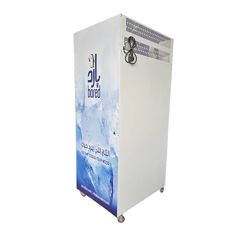 ice cube bag merchandiser gas station ice storage for outdoors