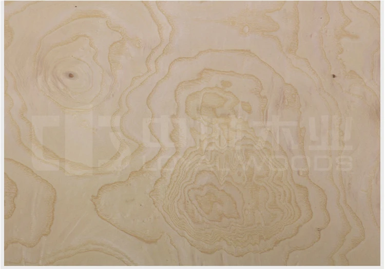 Natural White Ash Burl Veneer Wood Veneer for Interior Decoration House Furniture plywood