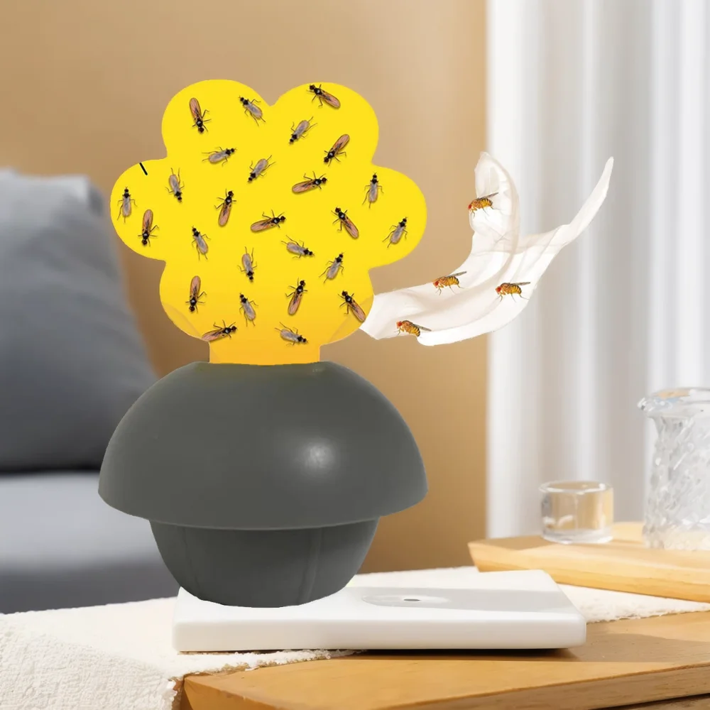 Indoor and outdoor use fruit fly trap
