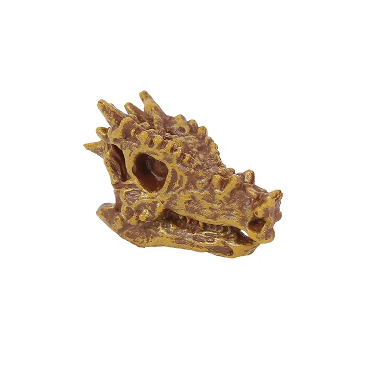 Factory Wholesale High Quality Educational Kids Realistic Dinosaur Skull Figurines Exquisite Dinosaur Skull Toys Decorations