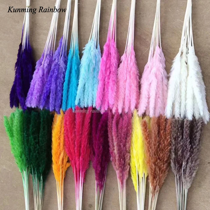 Wholesale Dry Flowers Wedding Dried Decorative Flower Best Natural Real Dried Pampas Grass for art  table flowers