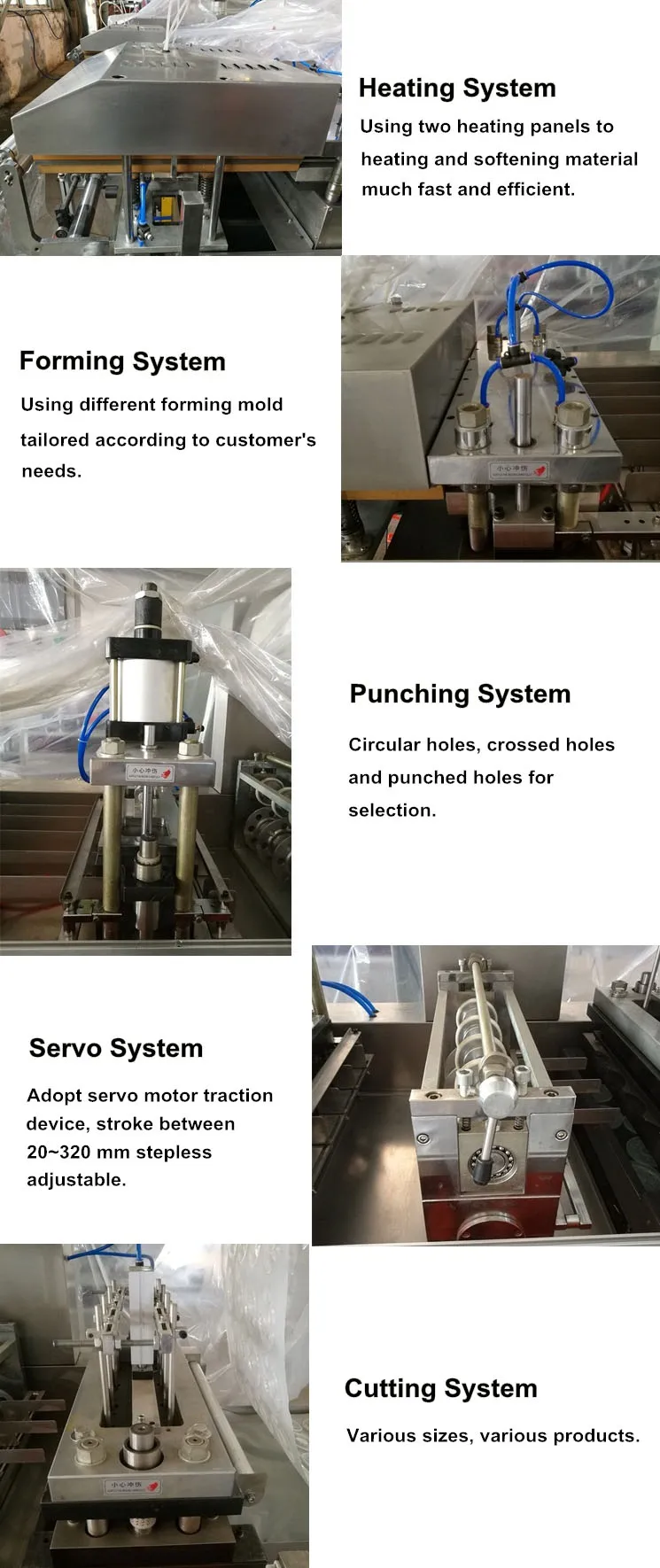 Wholesale Price Disposable PVC/PET/PS Plastic Coffee Lids Thermoforming Making Machine