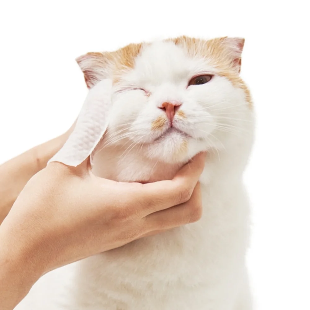 pet supplies Eye Wipes for Cats Dogs Dog Cat Tear Stain Wipes OEM Finger Pad Pet Wipes